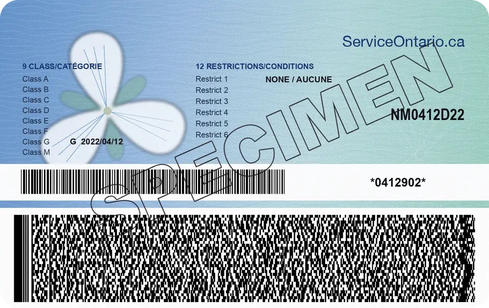 Back of the specimen Ontario driver's licence, with its 2D barcode