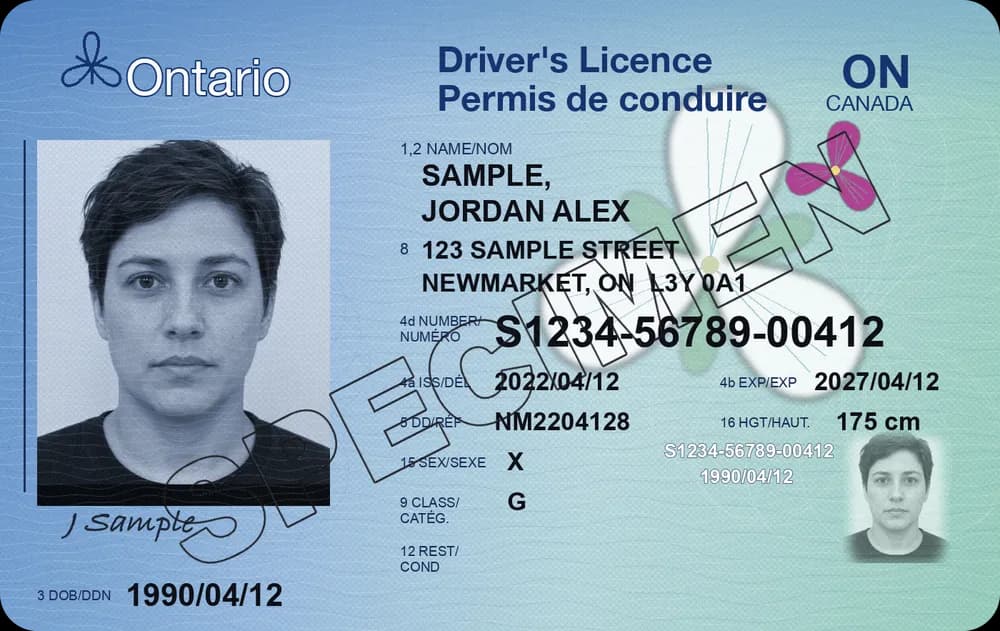 Front of a specimen Ontario driver's licence for Jordan Alex Sample